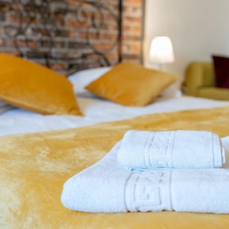 Cozy Spacious 5 Star Accommodation In The Heart Of Historic Center Cluj-Napoca Eksteriør billede