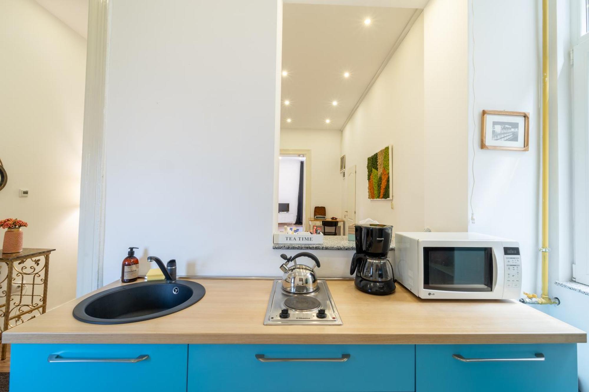 Cozy Spacious 5 Star Accommodation In The Heart Of Historic Center Cluj-Napoca Eksteriør billede